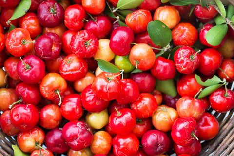 Recipes and Tips on How to Incorporate Montmorency Cherries into Your Diet